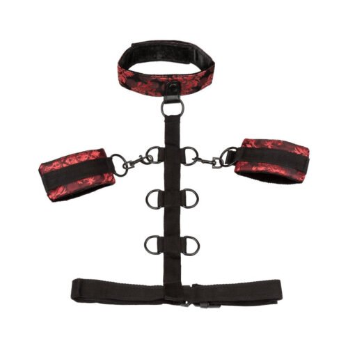 Scandal Collar Body Restraint - Red
